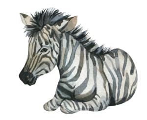 Zebra Safari Animal Self Adhesive Sticker