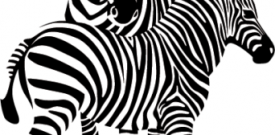 Zebra Safari Animal Self Adhesive Vinyl Sticker